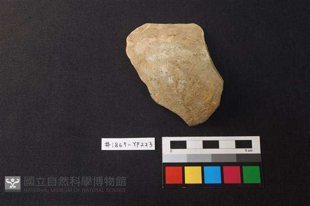 陶片藏品圖，第1張