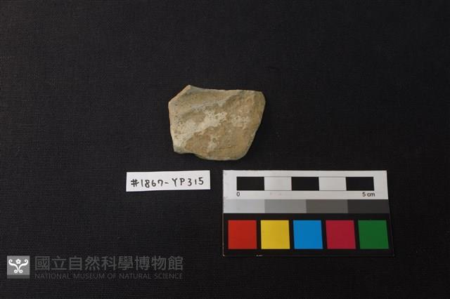 陶片藏品圖，第1張
