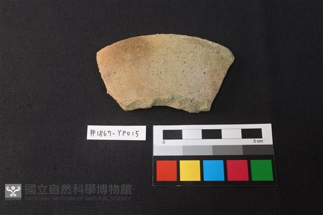陶片藏品圖，第1張