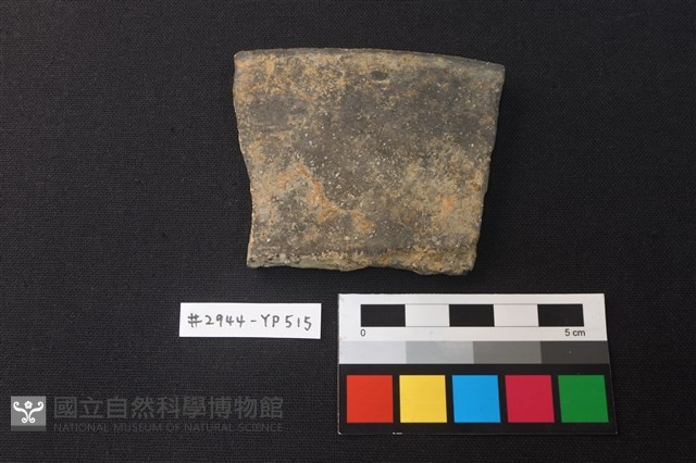 陶片藏品圖，第1張