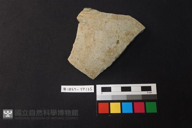 陶片藏品圖，第1張