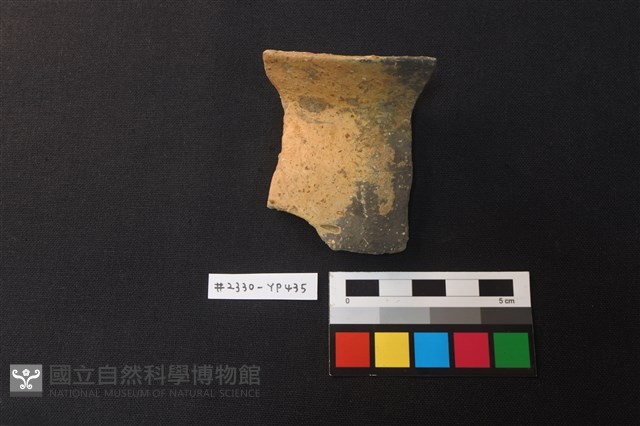 陶片藏品圖，第1張