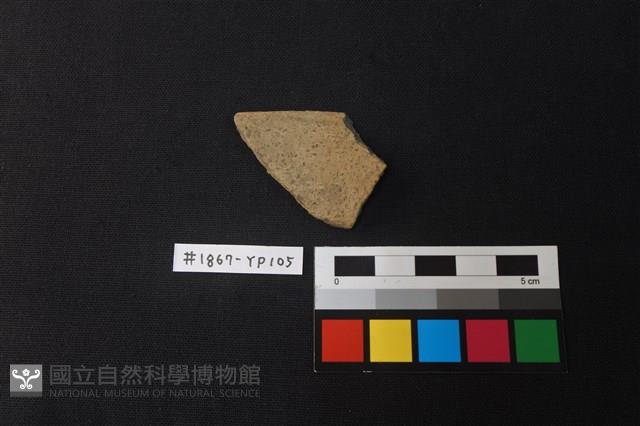 陶片藏品圖，第1張