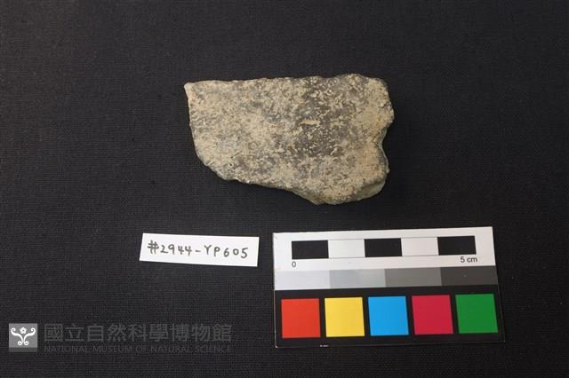 陶片藏品圖，第1張