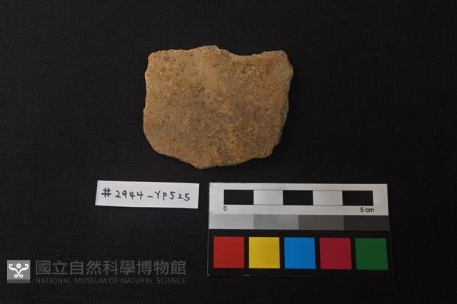 陶片藏品圖，第1張