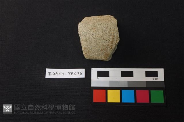 陶片藏品圖，第1張