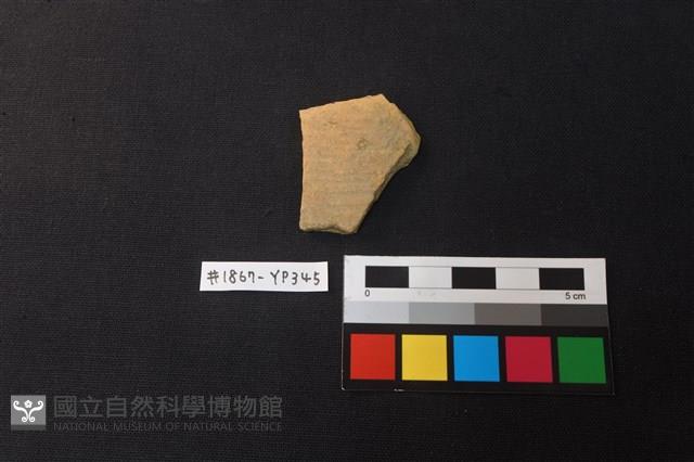 陶片藏品圖，第1張