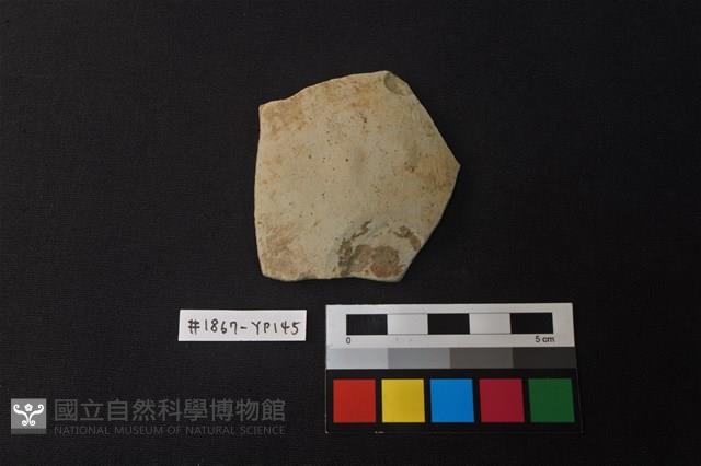 陶片藏品圖，第1張