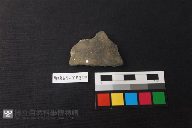 陶片藏品圖，第1張
