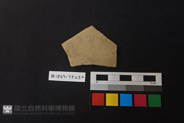 陶片藏品圖，第1張