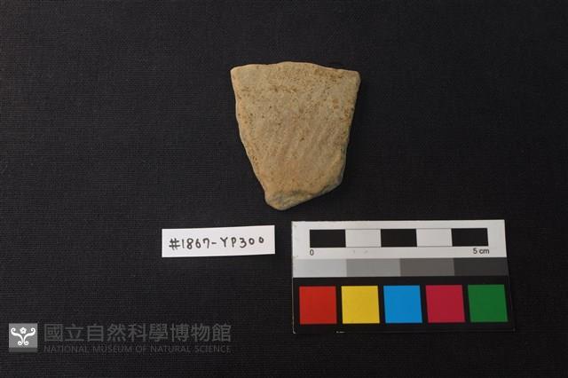 陶片藏品圖，第1張