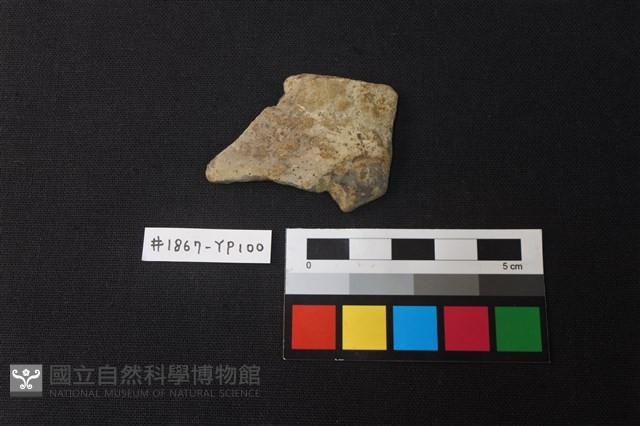 陶片藏品圖，第1張