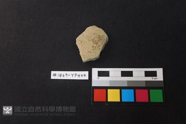 陶片藏品圖，第1張
