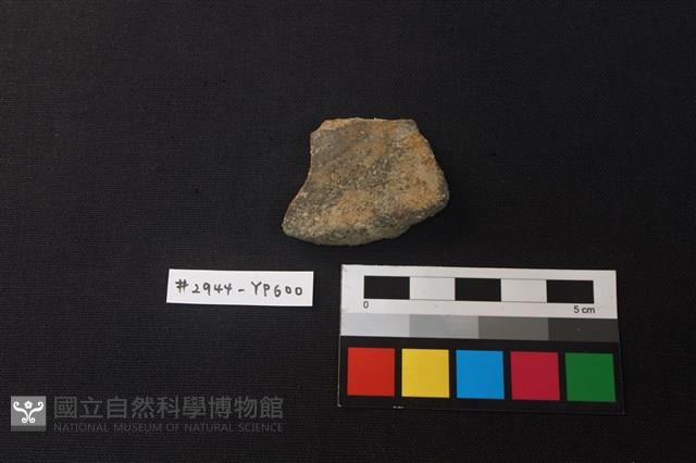 陶片藏品圖，第1張