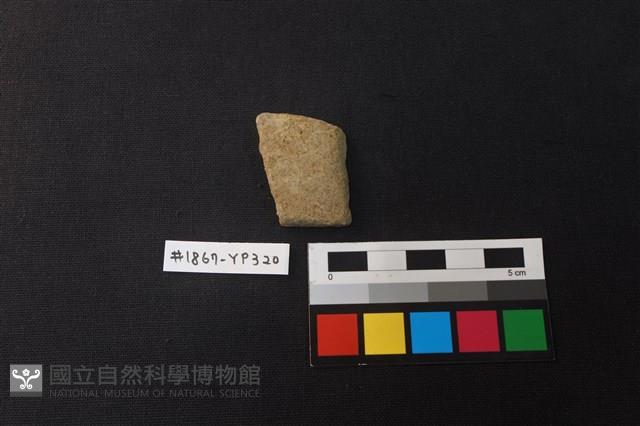 陶片藏品圖，第1張