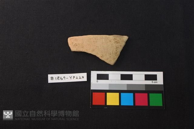 陶片藏品圖，第1張