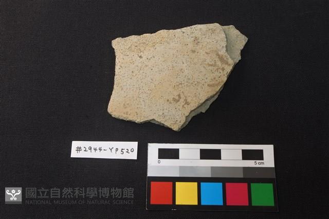 陶片藏品圖，第1張