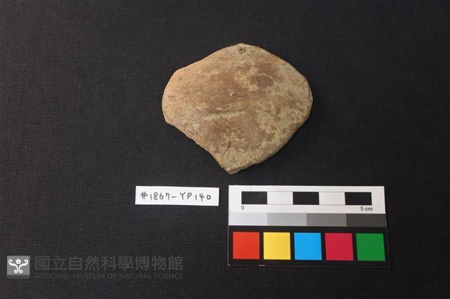 陶片藏品圖，第1張
