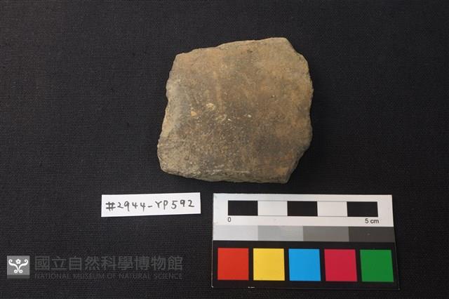 陶片藏品圖，第1張