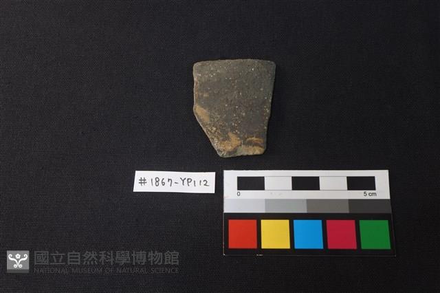 陶片藏品圖，第1張