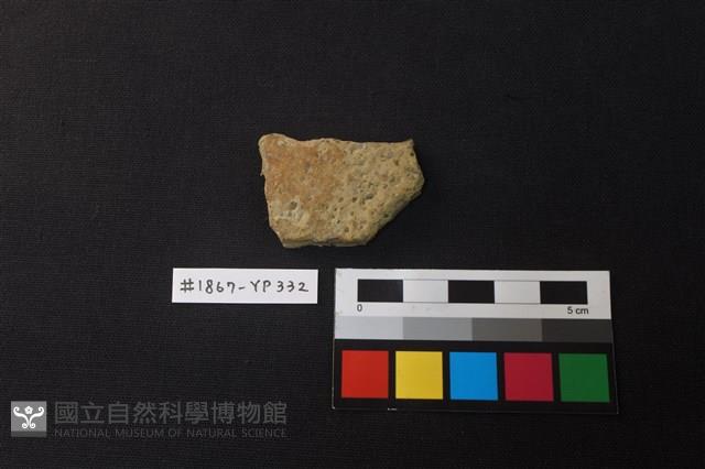 陶片藏品圖，第1張