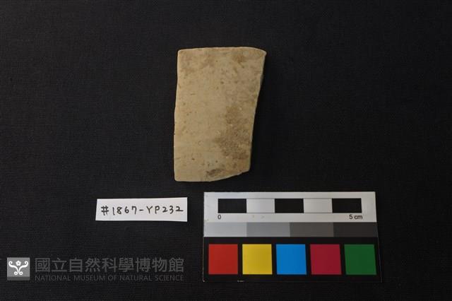 陶片藏品圖，第1張