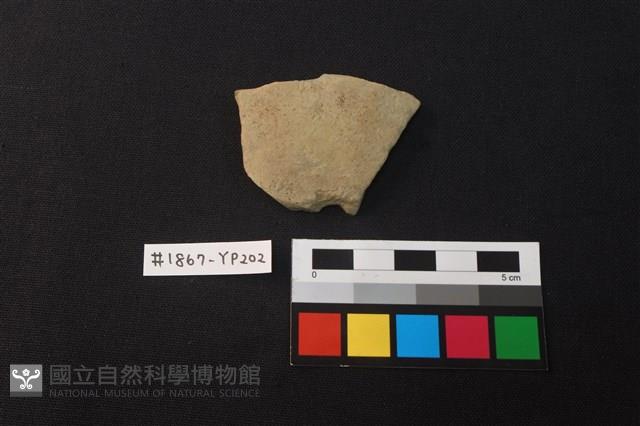 陶片藏品圖，第1張