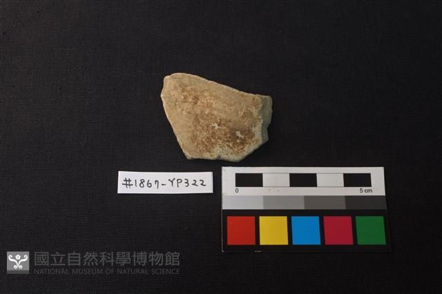 陶片藏品圖，第1張