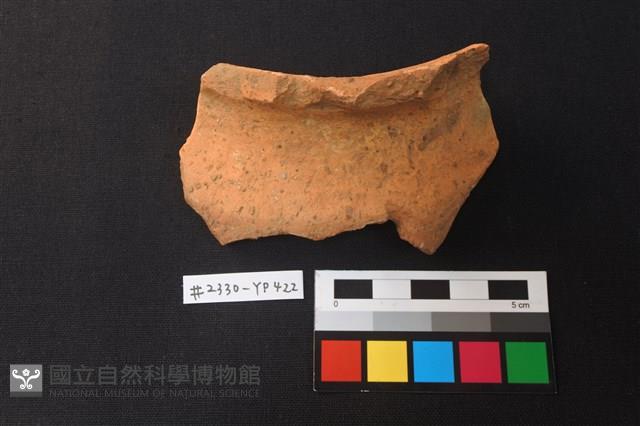 陶片藏品圖，第1張