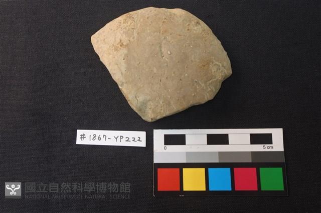 陶片藏品圖，第1張