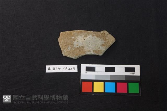 陶片藏品圖，第1張