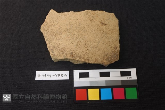 陶片藏品圖，第1張