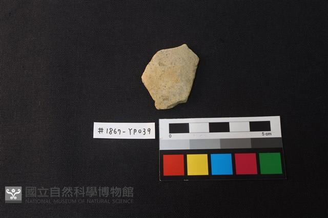 陶片藏品圖，第1張