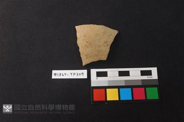 陶片藏品圖，第1張