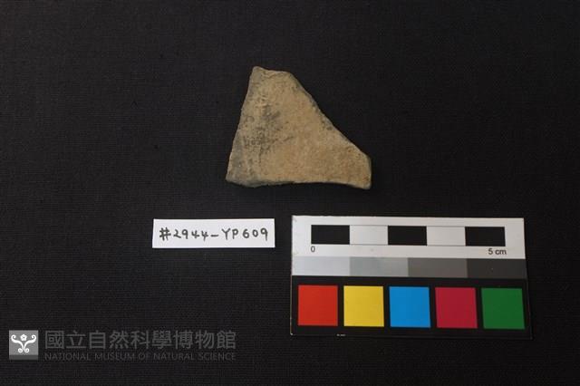 陶片藏品圖，第1張