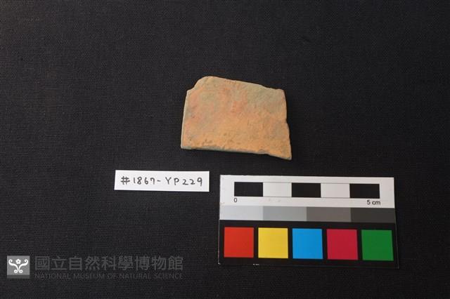 陶片藏品圖，第1張