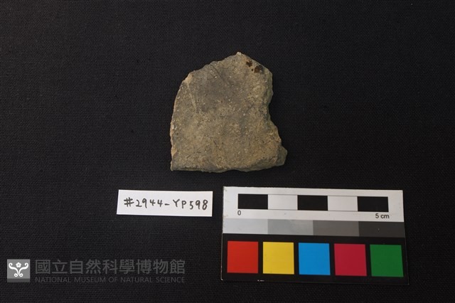 陶片藏品圖，第1張