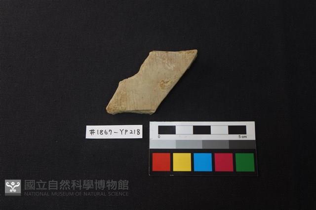 陶片藏品圖，第1張
