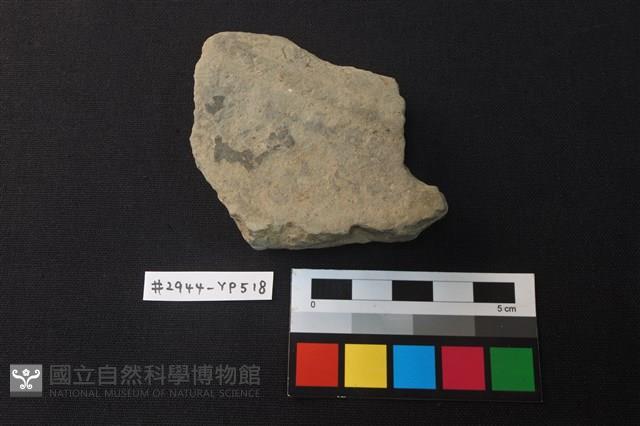 陶片藏品圖，第1張