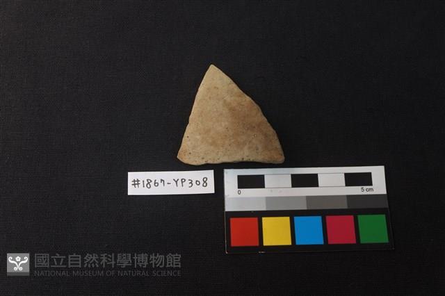 陶片藏品圖，第1張