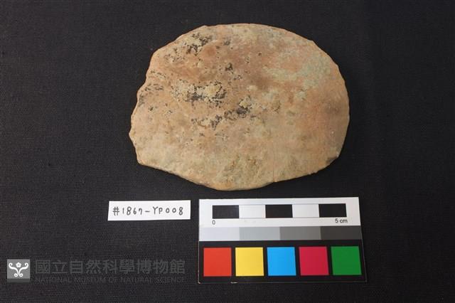 陶片藏品圖，第1張