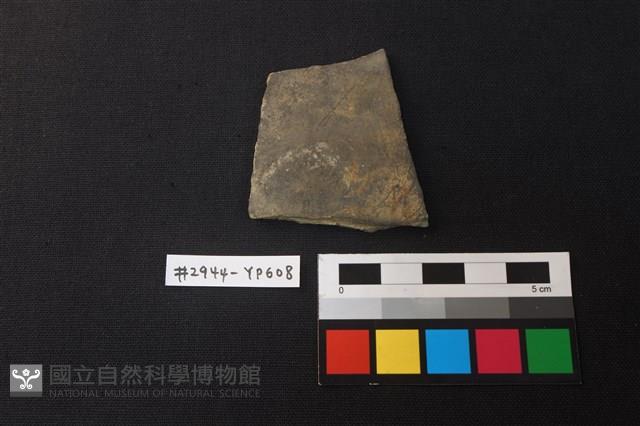 陶片藏品圖，第1張