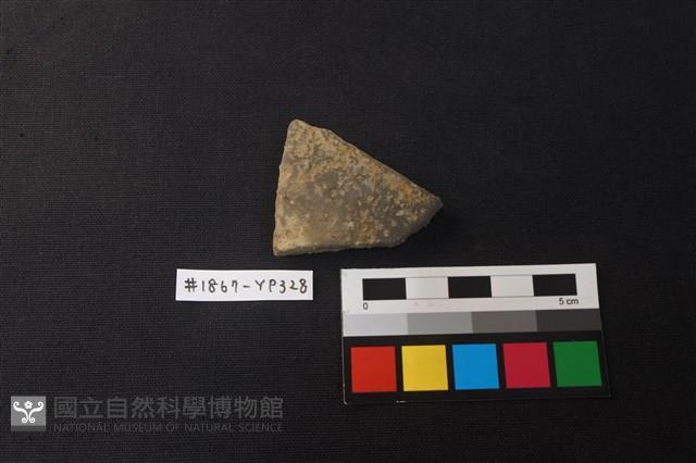 陶片藏品圖，第1張