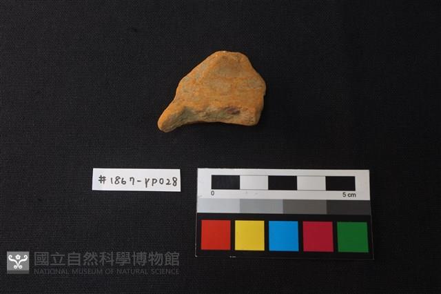 陶片藏品圖，第1張