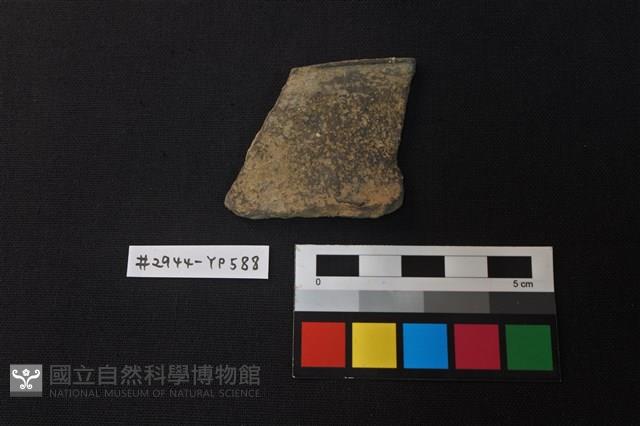 陶片藏品圖，第1張