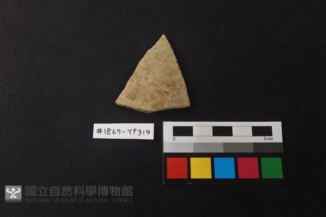 陶片藏品圖，第1張