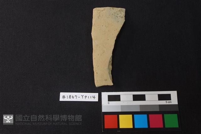 陶片藏品圖，第1張