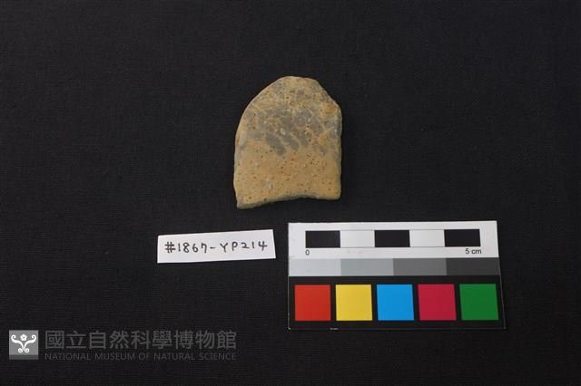 陶片藏品圖，第1張