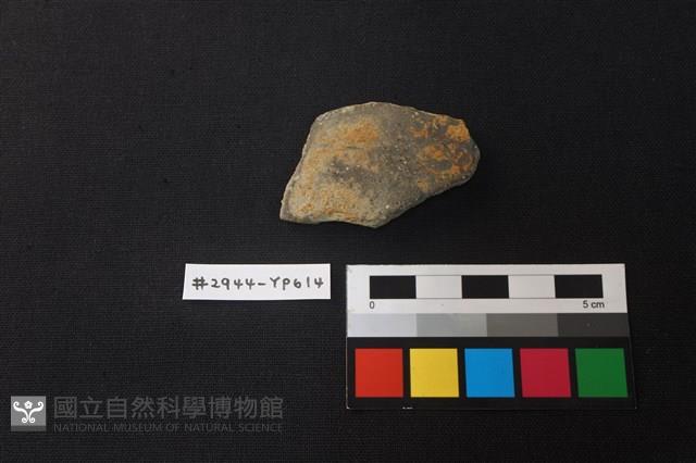 陶片藏品圖，第1張