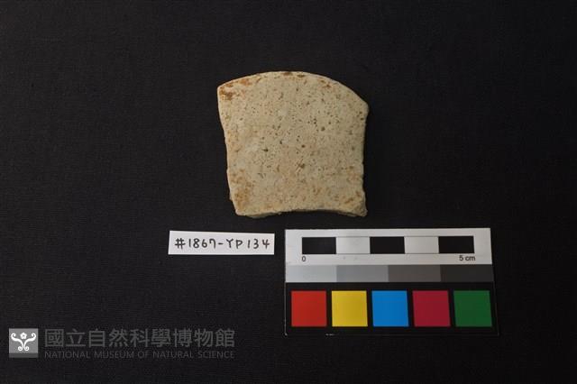 陶片藏品圖，第1張